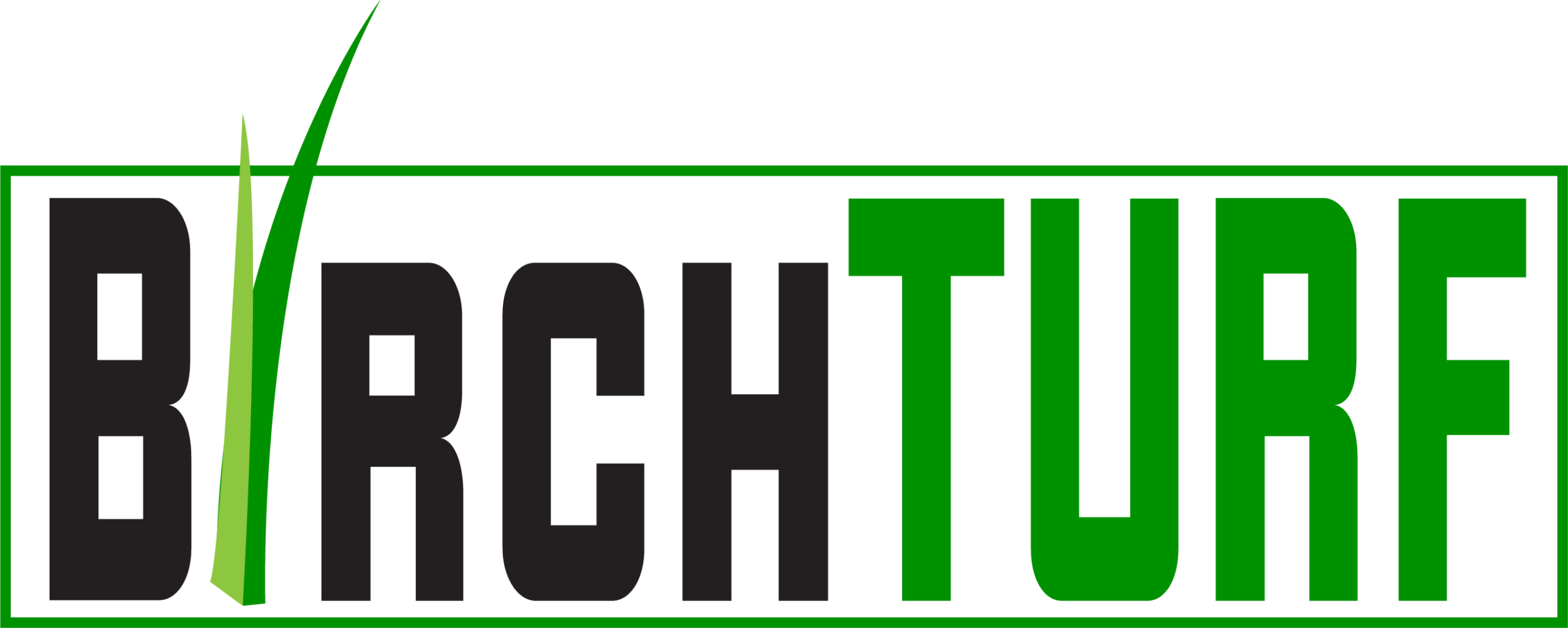 Birchturf Logo with Birch in Black all caps and TURF in Green all caps with the i in Birch a blade of grass